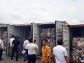Lima kontainer kertas bekas bercampur limbah yang dikembalikan ke AS dari Pelabuhan Tanjung Perak Surabaya (foto: Istimewa)