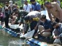 Warga Kampung Tangguh Semeru di Kota Probolinggo sulap selokan kotor jadi kolam ikan nila