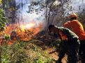 Tim gabungan berusaha memadamkan api yang membakar hutan di Gunung Panderman