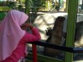 Kebun Binatang Mini Kota Probolinggo