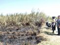 2,5 hektar lahan tebu di Magetan yang terbakar