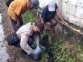 Mayat bayi perempuan terbungkus tas plastik ditemukan di Pasuruan 
