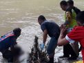 Pria Asal Lamongan Tewas Mengambang di Sungai Kali Lamong Mojokerto