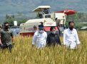 Tingkatkan Ketahanan Pangan, Jokowi Janji Penuhi Alat-alat Penting Pertanian