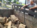 Barang bukti potongan kayu Sonokeling yang turut diamankan di Mapolres Trenggalek