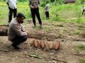 Penemuan 8 Mortir Diduga Aktif di Ponorogo Gegerkan Warga