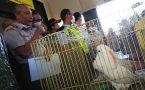 Kepala BBKP Surabaya Musyaffak Fauzi memberikan keterangan terkait penyelundupan 74 burung dilindungi yang digagalkan petugasnya