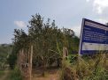 Wacana Desa Mandiri Selorejo di Malang Terganggu Perseteruan