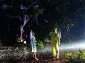Pohon tumbang timpa suami istri pengendara motor di Probolinggo