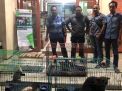 Polda Jatim Sita Komodo Hingga Burung dari Perdagangan Online
