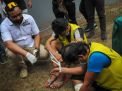 Kasatresnarkoba Polrestabes Surabaya, AKBP Memo Ardian menginterogasi dua dari lima tersangka yang ditembak kakinya