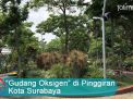 Video: Menengok Taman di Pinggiran Kota Surabaya