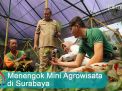 Video: Menengok Mini Agrowisata di Surabaya