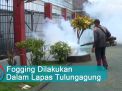 Video: Fogging Dilakukan Dalam Lapas Tulungagung