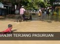 Video: Banjir Terjang Pasuruan