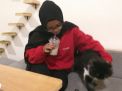 Salah seorang pengunjung kafe berinteraksi dengan kucing