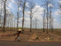 Ilustrasi: seorang warga Bojonegoro berjuang mencari kayu di kawasan Dander