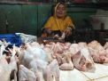 Rasimah salah satu pedagang ayam di pasar Banyuwangi
