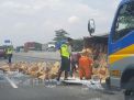 Sebuah truk box berisi air meniral kemasan gelas terguling di tol Sidoarjo, Rabu (7/2/2018).