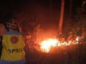 Petugas berusaha padamkan api yang membakar Hutan Kendit
