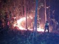 Kebakaran hutan/ foto dokumen
