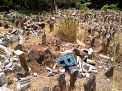 Penghancuran Massal Kijing Kuburan di Ponorogo
