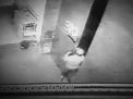 Capture video rekaman CCTV aksi komplotan pencuri mobi L300/ Istimewa