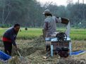 Aktivitas petani di Tulungagung