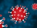 Ini Penjelasan Pakar Virologi Mengenai Virus Corona Varian Lambda