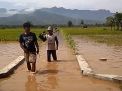 Banjir Ponorogo, Puluhan Hektar Sawah Terancam Gagal Panen