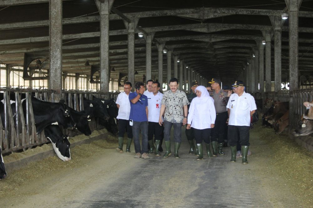 Gubernur Jatim Khofifah Indar Parawansa saat kunjungan kerja ke PT. Greenfields Indonesia di Malang