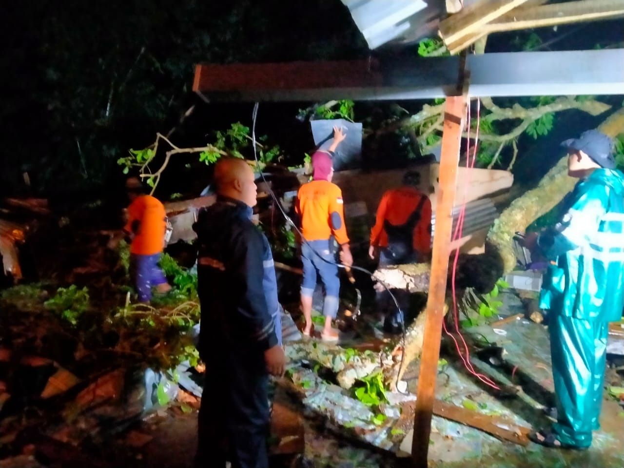 Petugas mengevakuasi korban pohon tumbang.