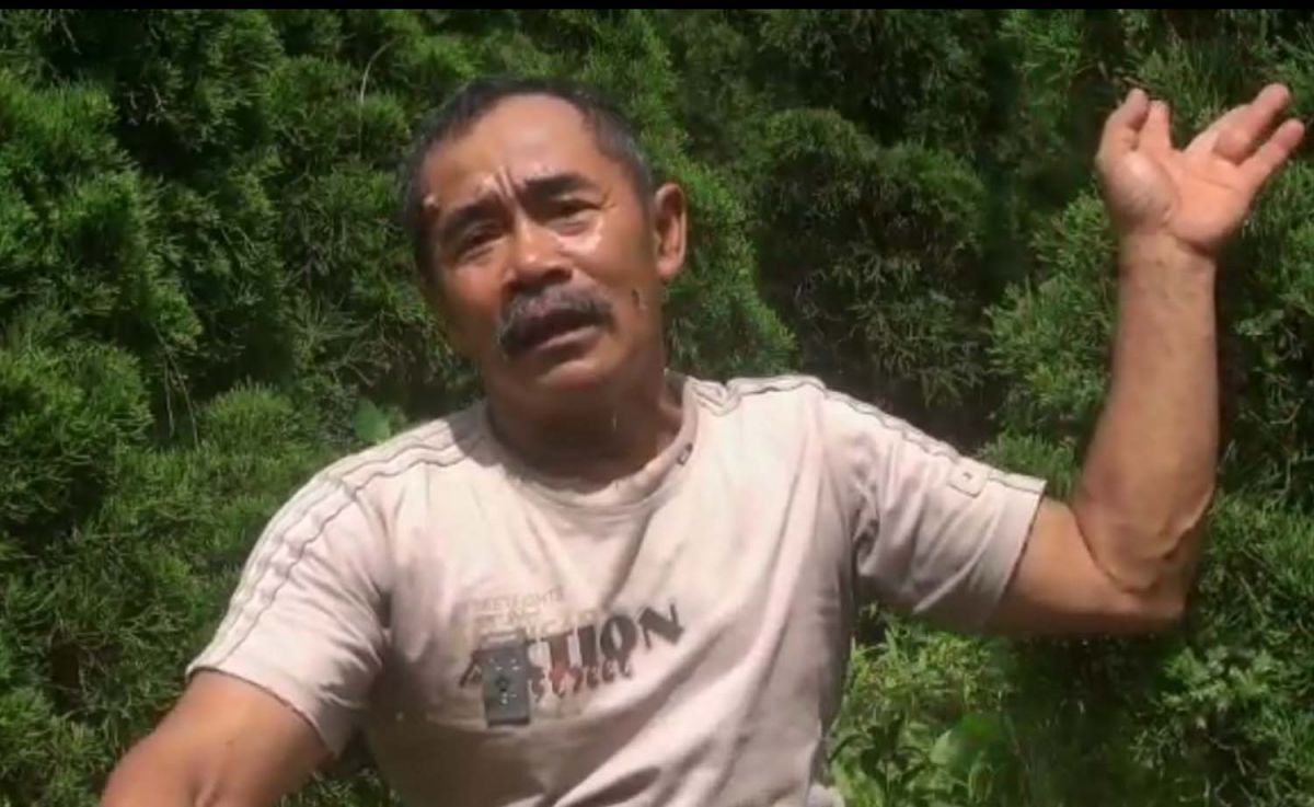 Komarudin alias Kapak, petani cemara jenis poa-poa di Desa Ledug, Kecamatan Prigen, Kabupaten Pasuruan