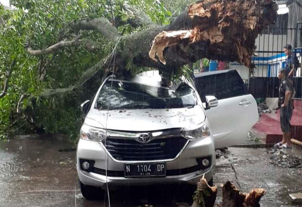 Mobil tertimpa pohon tumbang akibat hujan angin di Kota Malang (Foto: Galih Rakasiwi/jatimnow.com)