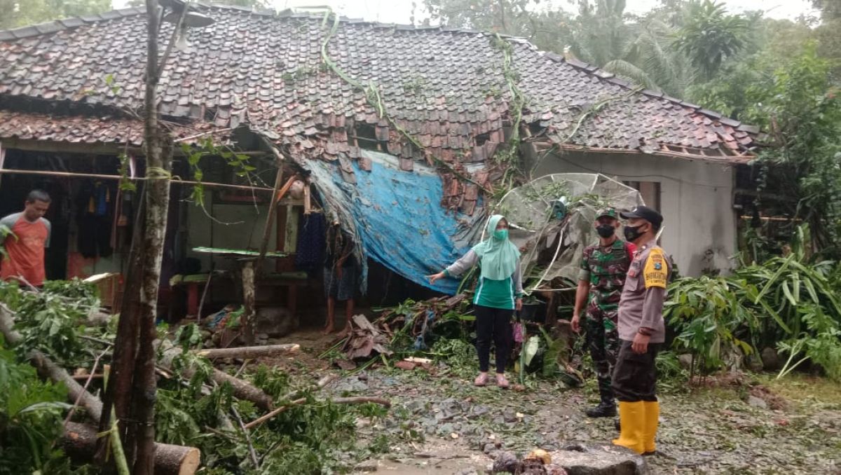 Rumah di Ponorogo rusak karena tertimpa pohon trembesi tumbang. (Foto: Polres Ponorogo)