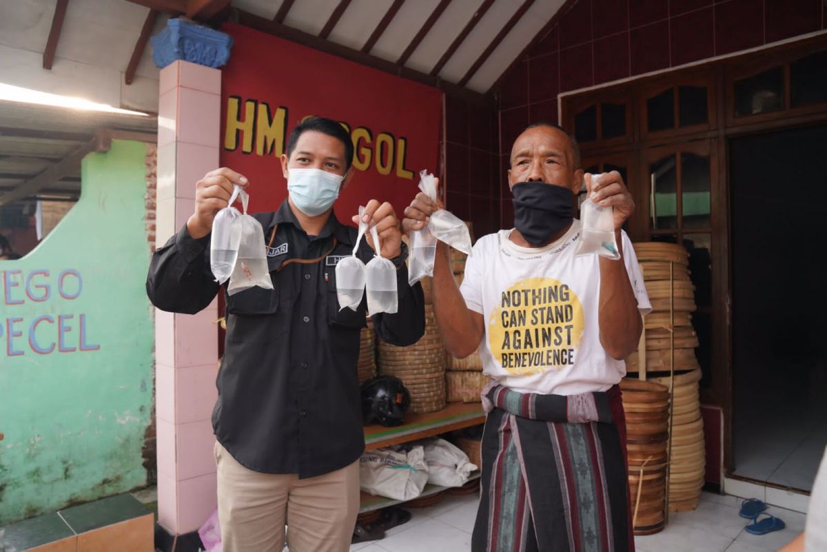 Pembagian cupang untuk mencegah DB di Ponorogo.