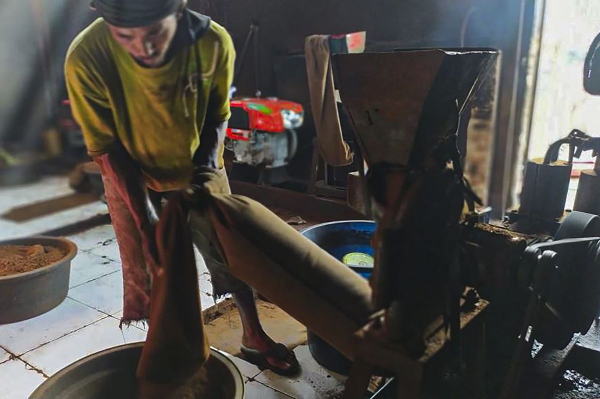 Pekerja sedang mengolah kopi di UD Cangkir Rembang Jawa Tengah.