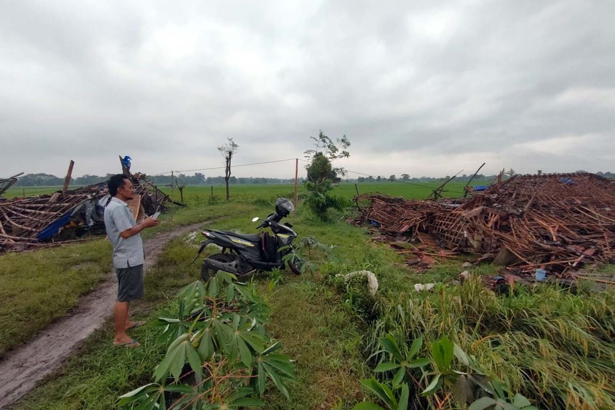 Dampak puting beliung di Nguling, Pasuruan