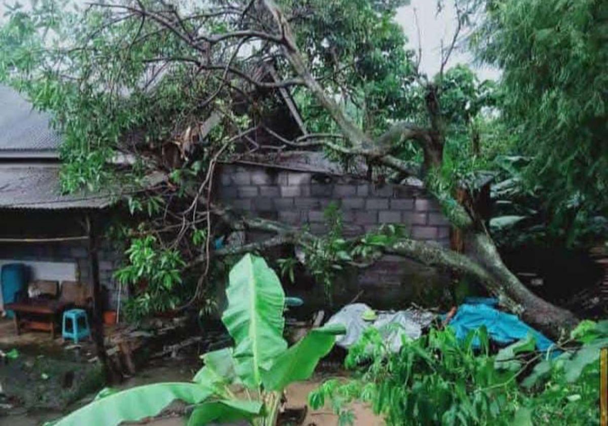 Dampak puting beliung yang menerjang empat desa di Kecamatan Lumbang, Kabupaten Probolinggo