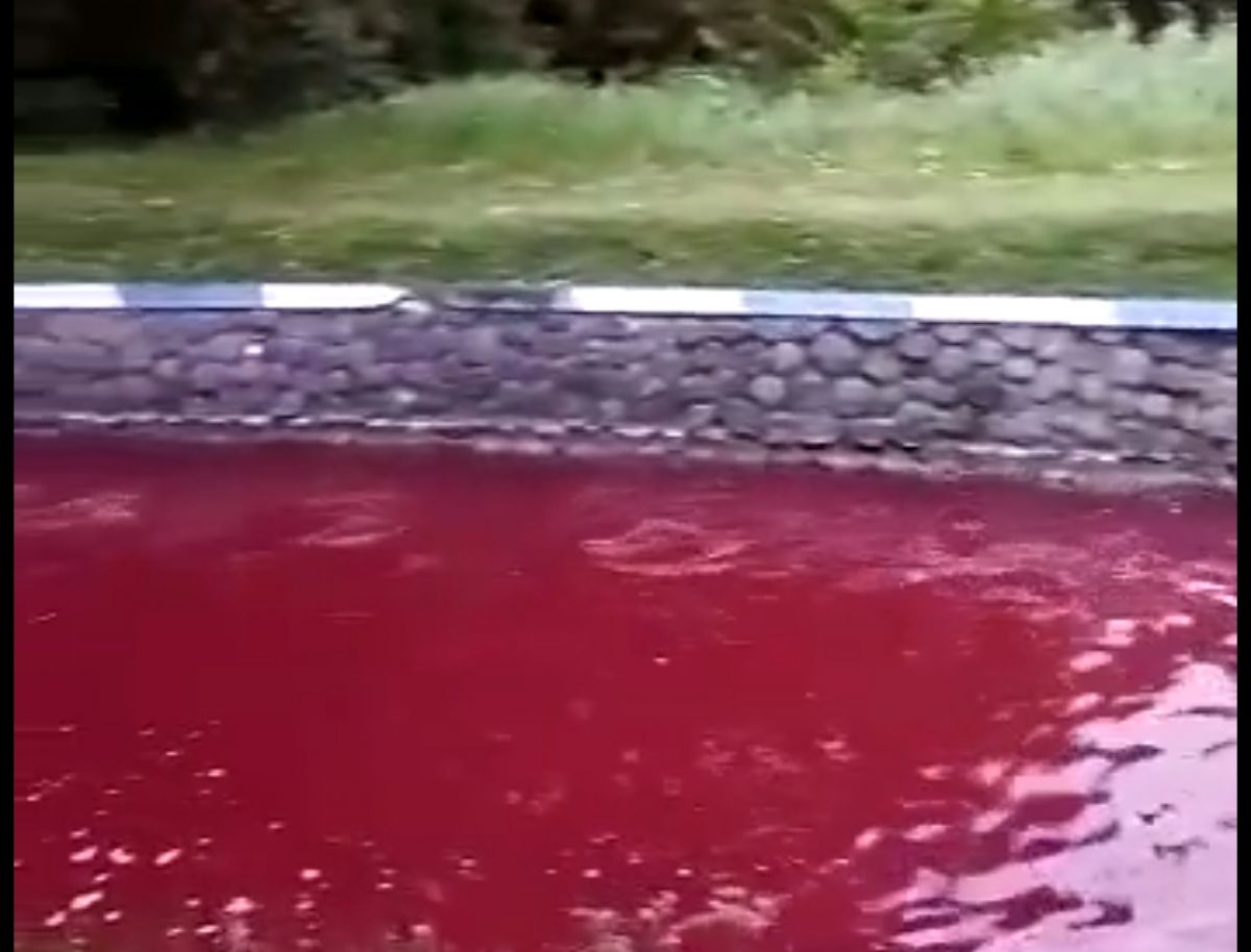 Hii Air Sungai Di Jombang Berwarna Merah Darah