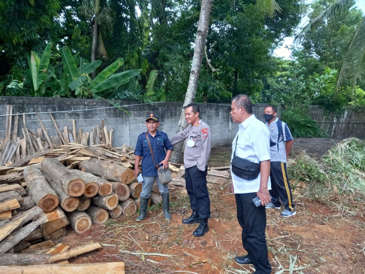 Kapolsek Purwoharjo AKP Budi Hermawan bersama anggota dan pihak Perhutani mendatangi lokasi penimbunan kayu jati di rumah Sugiono.(Foto: Polsek Purwoharjo)