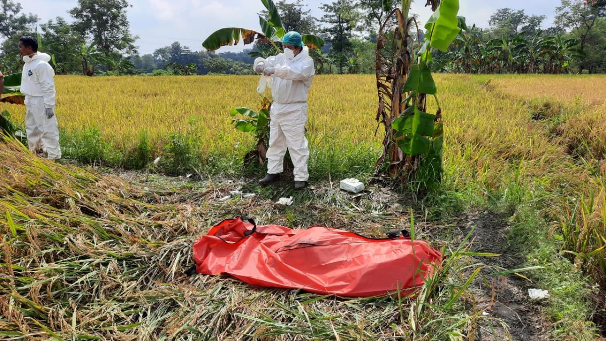 Petugas melakukan pengecekan mayat yang ditemukan petani di Desa Kalirejo. (Foto: Polsek Sukorejo/jatimnow.com)