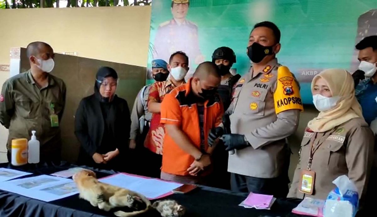 Tersangka dan satwa dilindungi yang dibawanya diamankan di Mapolres Pelabuhan Tanjung Perak, Surabaya