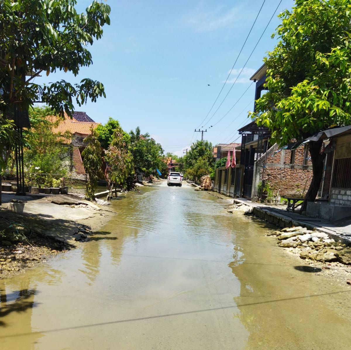 Genangan air di Desa Tiwet, Kecamatan Kalitengah, Lamongan.(Foto: Adyad Ammy Iffansah/jatimnow.com)