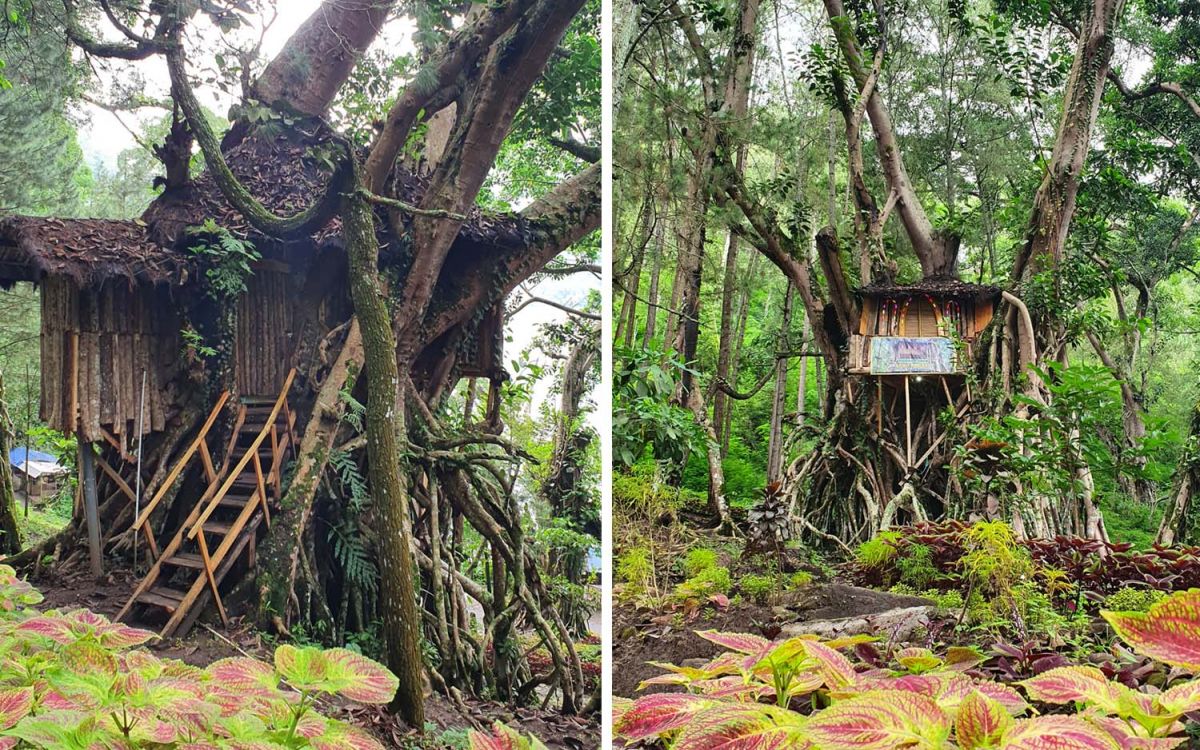 Rumah pohon di Wisata Alam Bale Bombong di kawasan Telaga Ngebel, Ponorogo