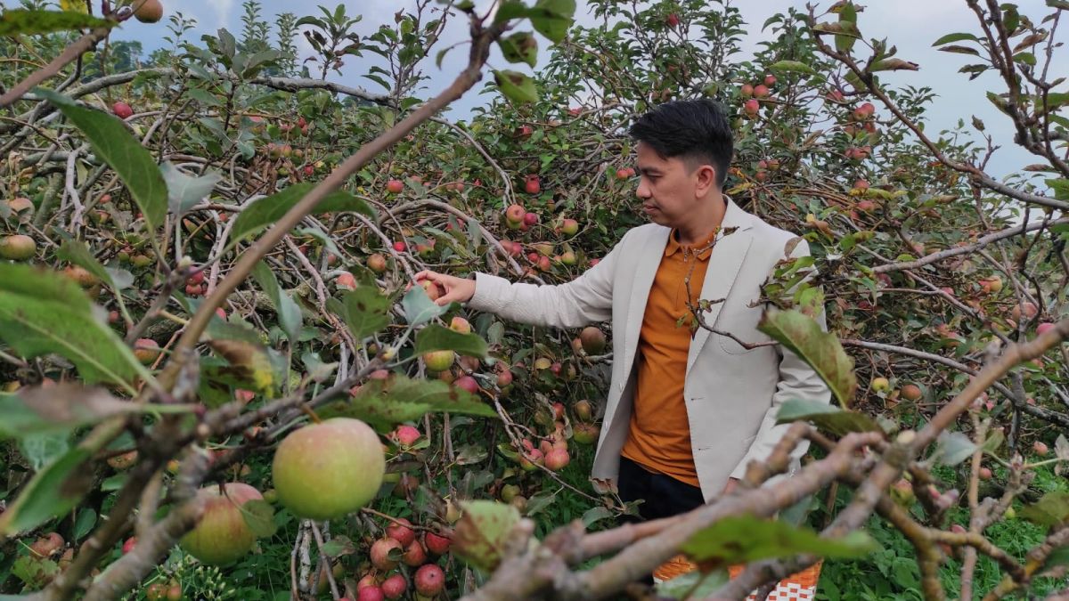 KJRI Penang yang diwakili oleh Pejabat Fungsi Ekonomi, Aryadi Ramadhan tengah memetik buah apel. (Foto-foto: Disparta Kota Batu)