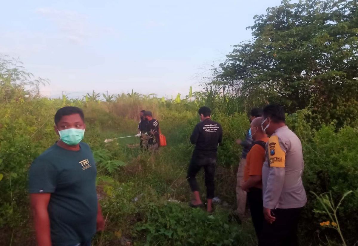 Proses identifikasi dan evakuasi mayat pria misterius di Sidoarjo (Foto: Polsek Jabon)