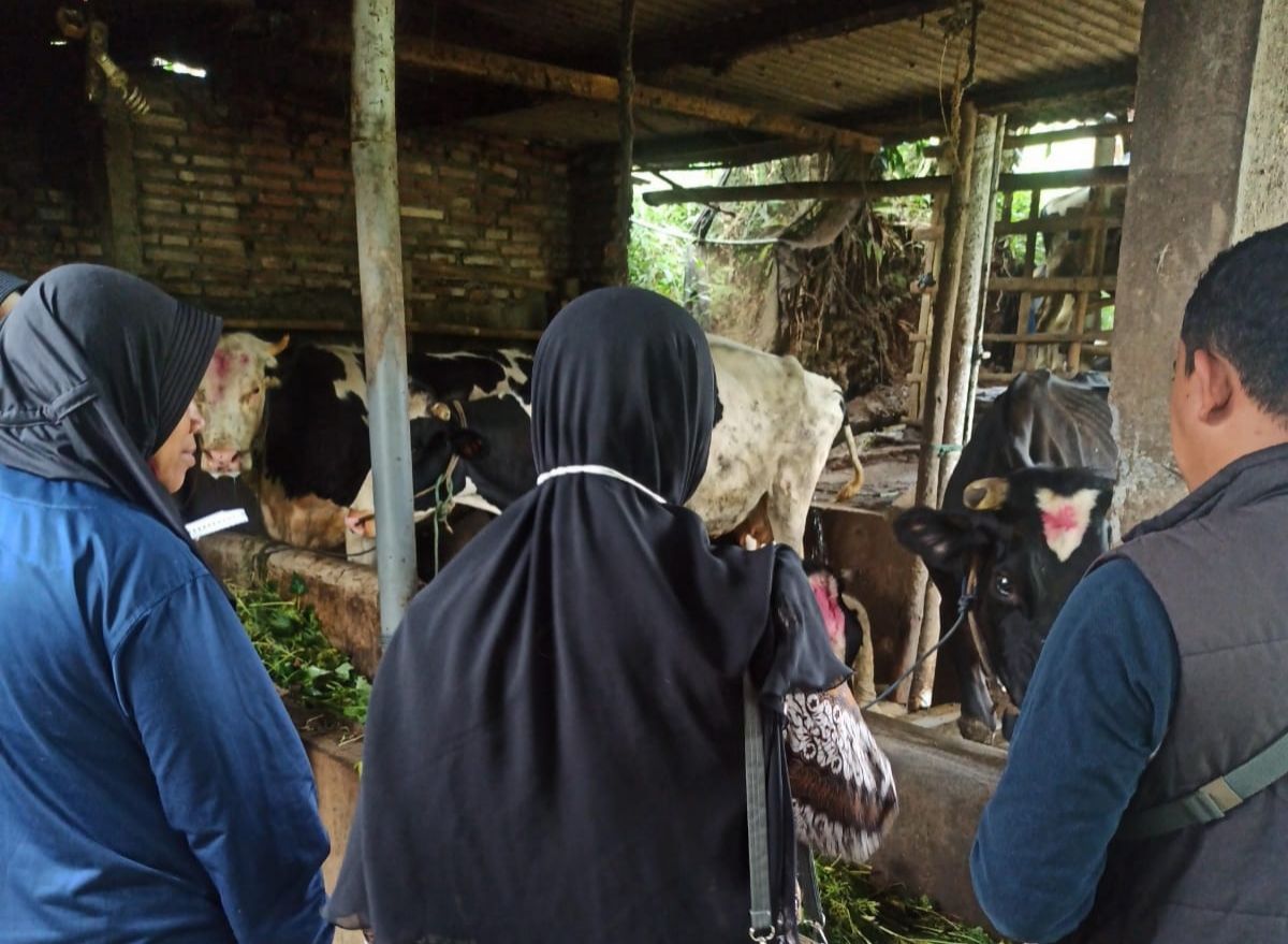 Petugas tengah melakukan pemantauan sapi warga Desa Sumbergondo, Kecamatan Bumiaji, Kota Batu.(Foto: DPKP Kota Batu for Jatimnow.com)