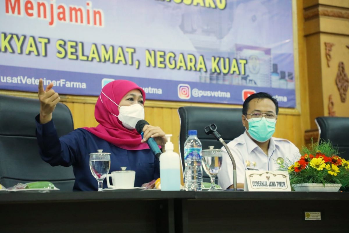 Gubernur Jawa Timur Khofifah Indar Parawansa saat rapat koordinasi soal wabah PMK