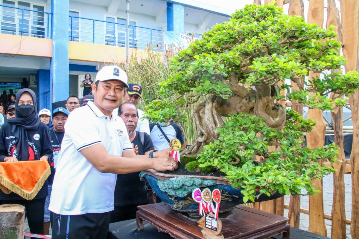 Penampakan tanaman bonsai seharga mobil dalam Festival Bonsai di Lamongan.(Foto: Humas Pemkab Lamongan for jatimnow.com)
